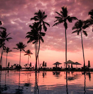 Meet your Posher, Molly